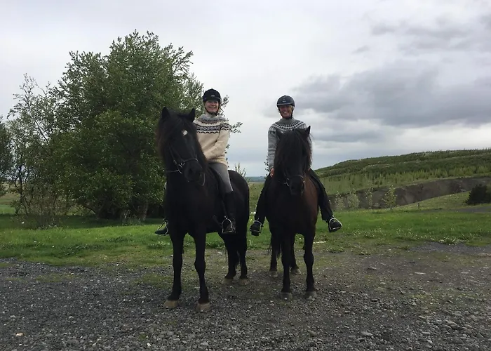 Steinsholt Guesthouse and riding tours