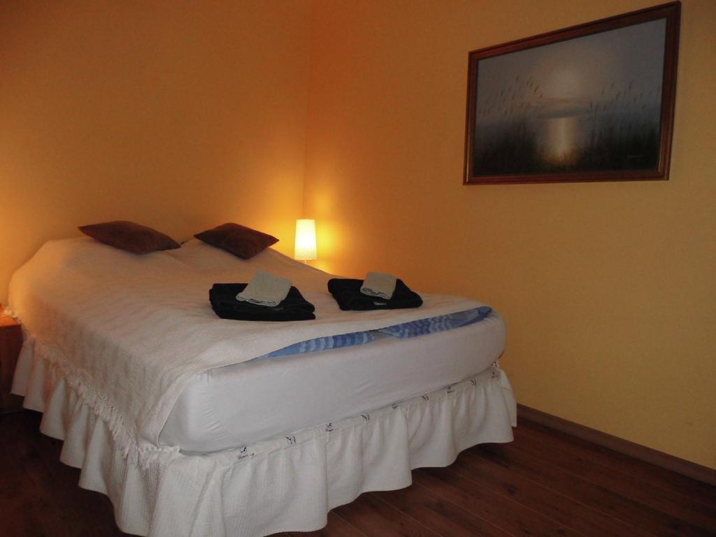 Steinsholt Guesthouse and riding tours Farm stay *