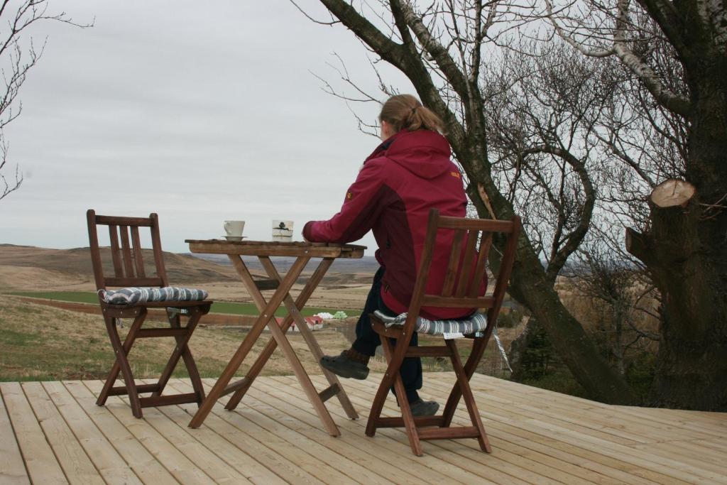 Steinsholt Guesthouse and riding tours *
